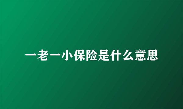 一老一小保险是什么意思