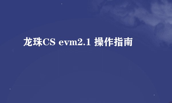 龙珠CS evm2.1 操作指南