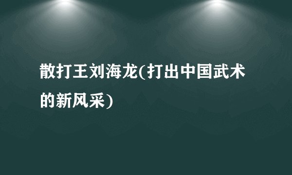 散打王刘海龙(打出中国武术的新风采)