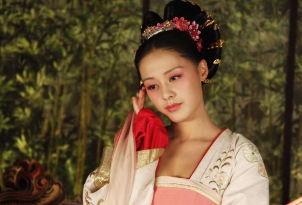 46部电视剧38次女主,搭档胡歌聂远,王力可为什么就是火不起来?