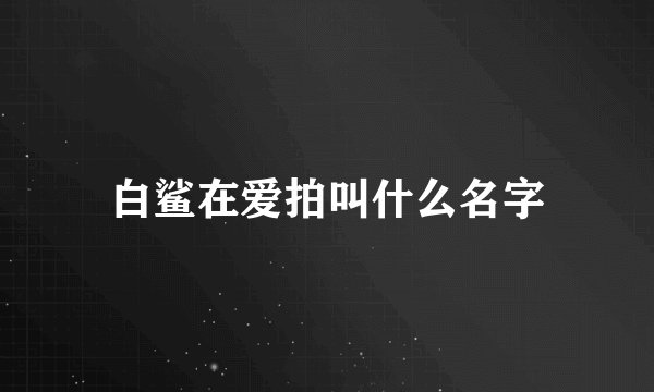 白鲨在爱拍叫什么名字