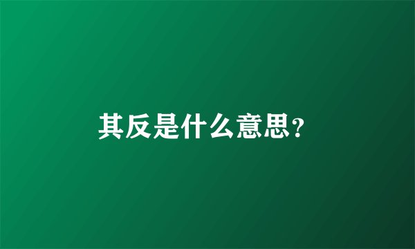 其反是什么意思？