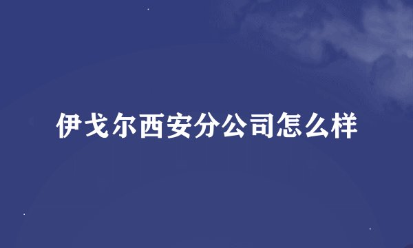 伊戈尔西安分公司怎么样