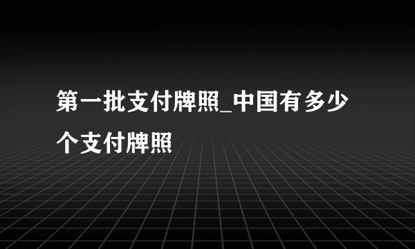 第一批支付牌照_中国有多少个支付牌照