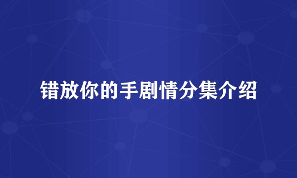 错放你的手剧情分集介绍