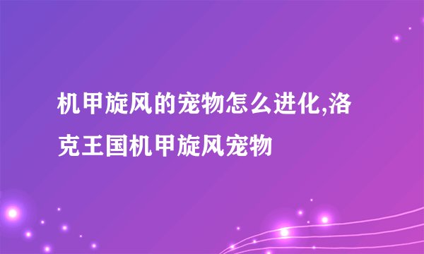 机甲旋风的宠物怎么进化,洛克王国机甲旋风宠物