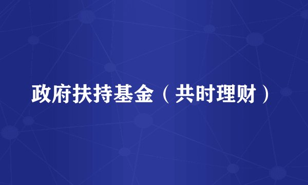 政府扶持基金（共时理财）