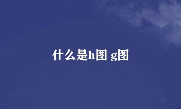 什么是h图 g图