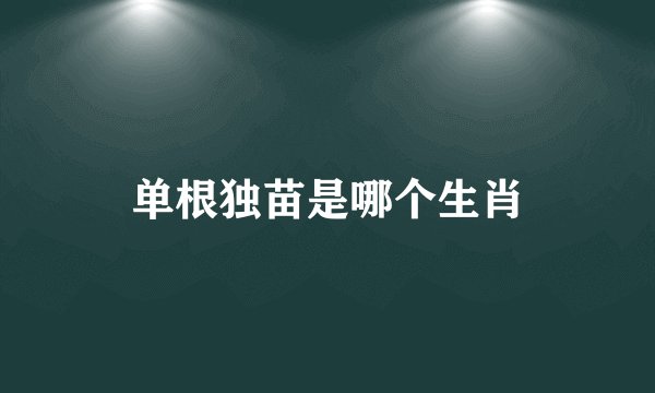 单根独苗是哪个生肖