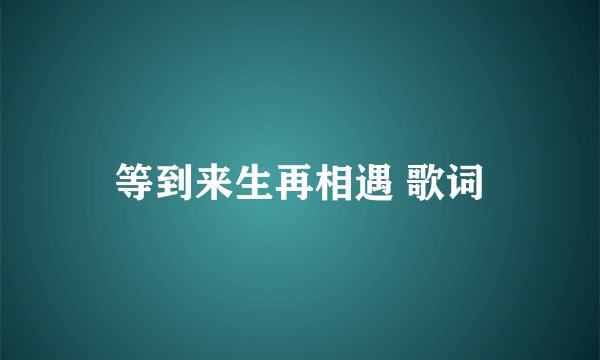 等到来生再相遇 歌词