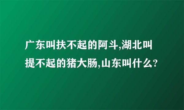 广东叫扶不起的阿斗,湖北叫提不起的猪大肠,山东叫什么?
