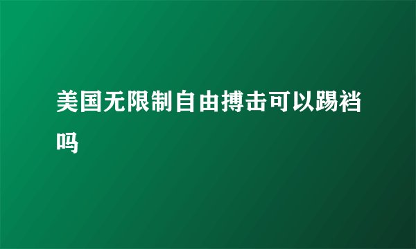 美国无限制自由搏击可以踢裆吗