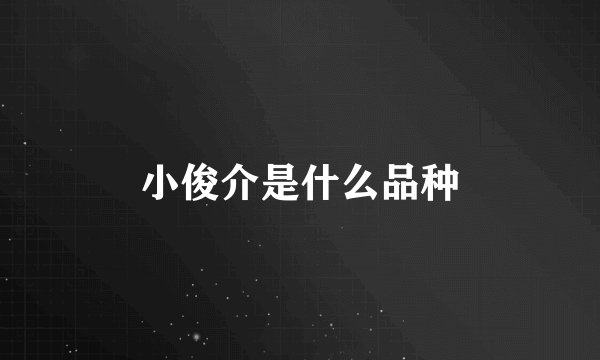 小俊介是什么品种