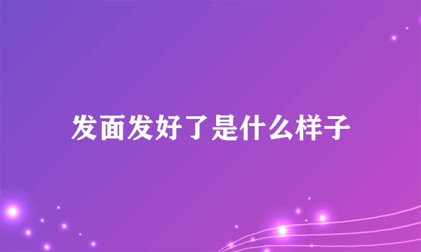发面发好了是什么样子