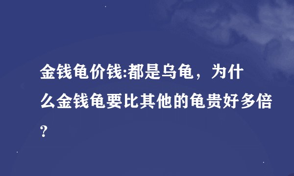 金钱龟价钱:都是乌龟，为什么金钱龟要比其他的龟贵好多倍？