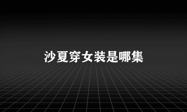 沙夏穿女装是哪集