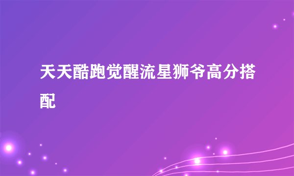 天天酷跑觉醒流星狮爷高分搭配