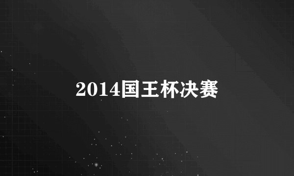 2014国王杯决赛