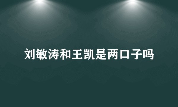 刘敏涛和王凯是两口子吗