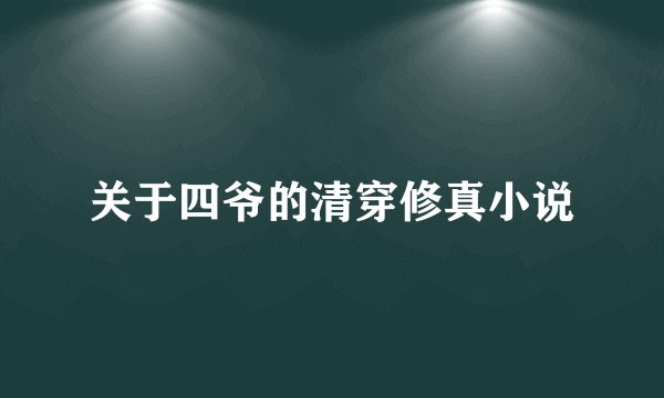 关于四爷的清穿修真小说