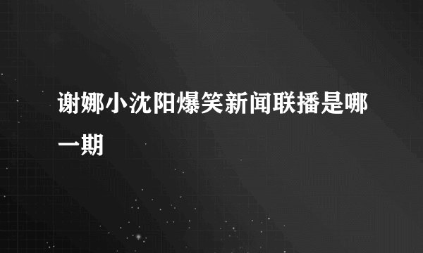 谢娜小沈阳爆笑新闻联播是哪一期
