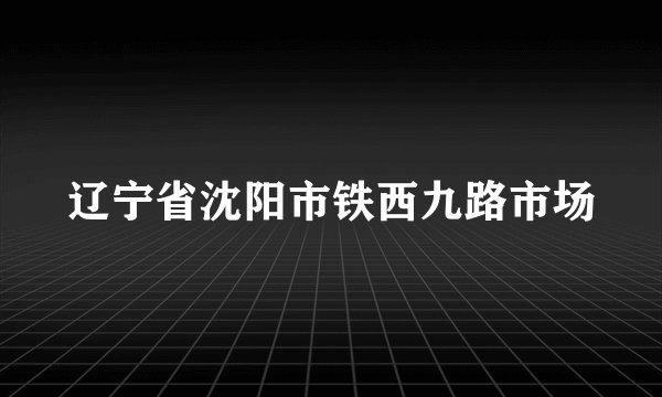 辽宁省沈阳市铁西九路市场