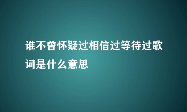 谁不曾怀疑过相信过等待过歌词是什么意思