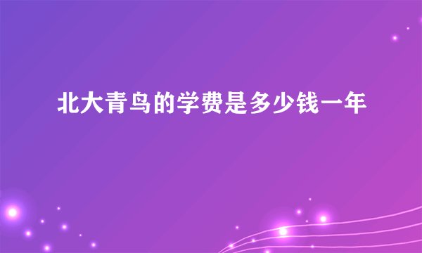 北大青鸟的学费是多少钱一年