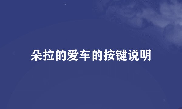 朵拉的爱车的按键说明