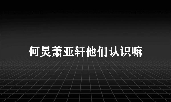 何炅萧亚轩他们认识嘛