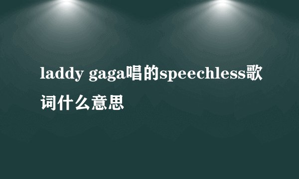 laddy gaga唱的speechless歌词什么意思