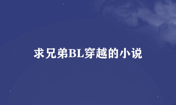 求兄弟BL穿越的小说