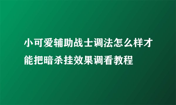 小可爱辅助战士调法怎么样才能把暗杀挂效果调看教程