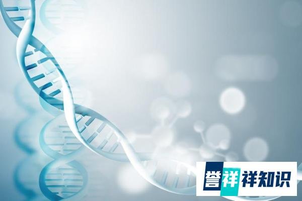 费蒙格是什么？前列腺癌的治疗之路