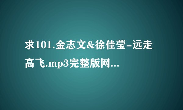 求101.金志文&徐佳莹-远走高飞.mp3完整版网盘链接下载