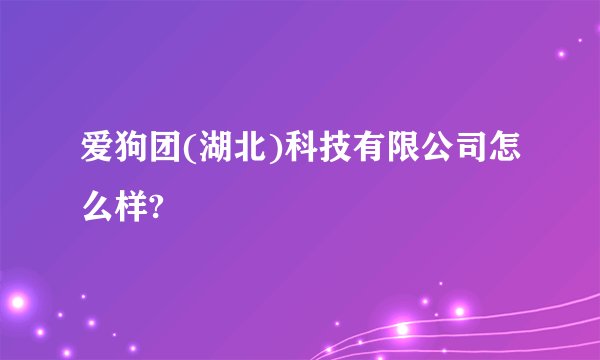 爱狗团(湖北)科技有限公司怎么样?