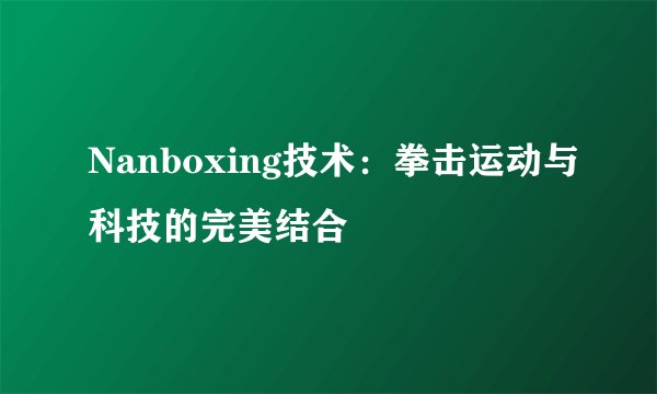Nanboxing技术：拳击运动与科技的完美结合