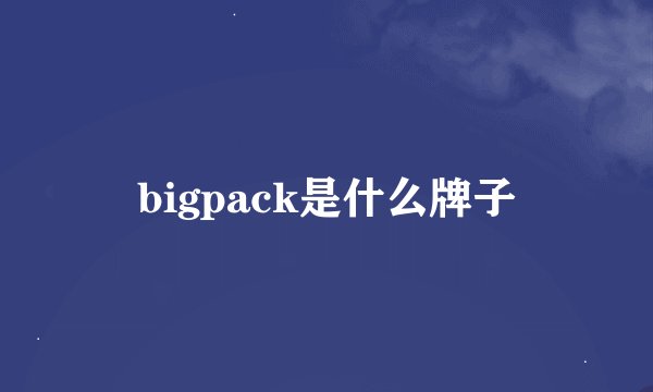 bigpack是什么牌子