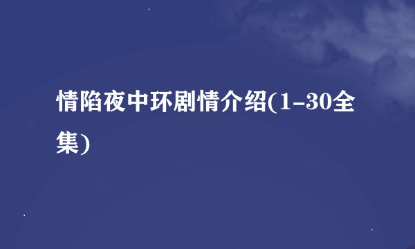 情陷夜中环剧情介绍(1-30全集)