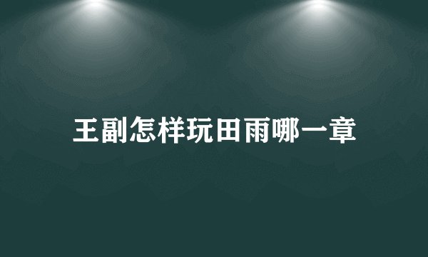 王副怎样玩田雨哪一章