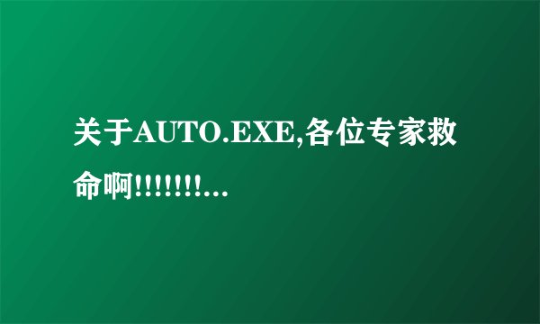 关于AUTO.EXE,各位专家救命啊!!!!!!!!!!!