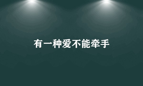 有一种爱不能牵手