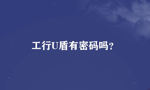 工行U盾有密码吗？