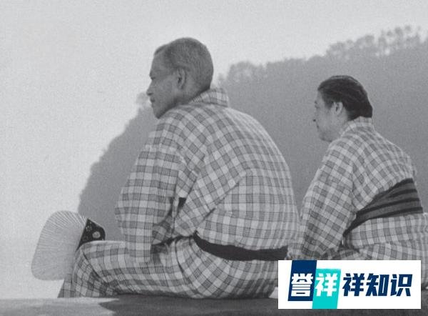 日本家庭影像电影片单合集