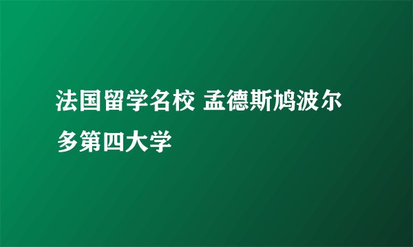 法国留学名校 孟德斯鸠波尔多第四大学
