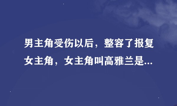 男主角受伤以后，整容了报复女主角，女主角叫高雅兰是哪部韩剧？