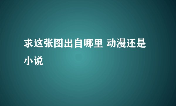 求这张图出自哪里 动漫还是小说