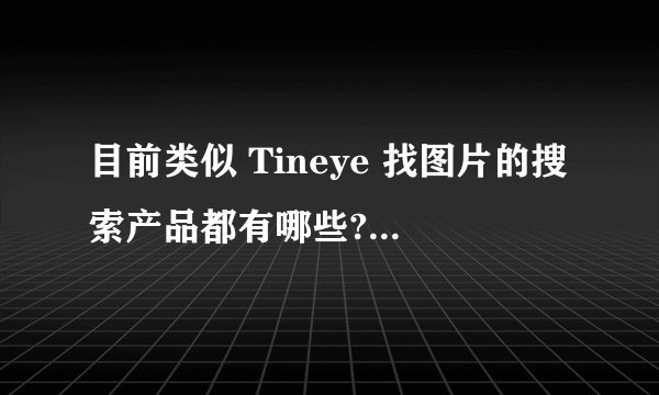 目前类似 Tineye 找图片的搜索产品都有哪些?大家怎么看图