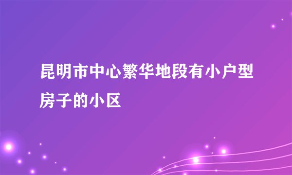 昆明市中心繁华地段有小户型房子的小区