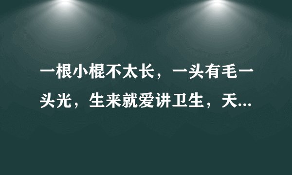 一根小棍不太长，一头有毛一头光，生来就爱讲卫生，天天嘴里跑几趟（打一常用物）谜底及原因